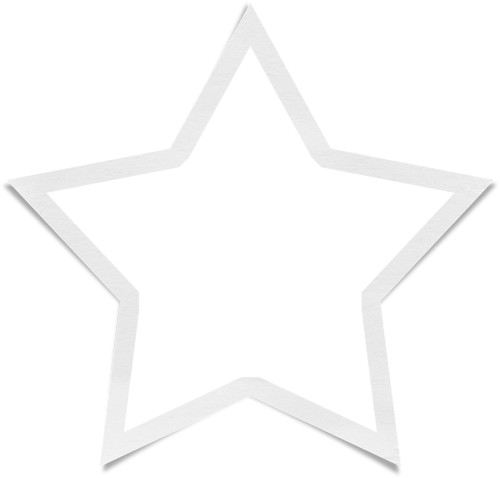 icono estrella